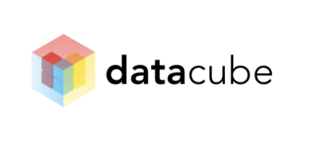 Datacube blog logo image