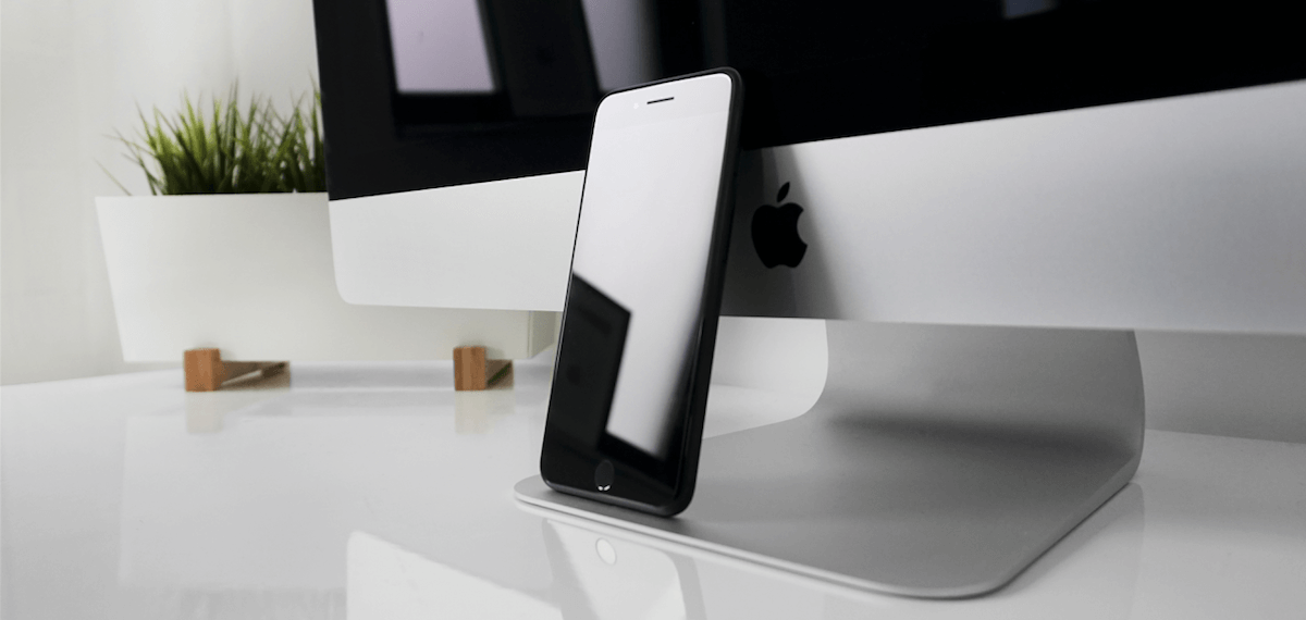 January 2017 Search Ads - What Will be Popular?