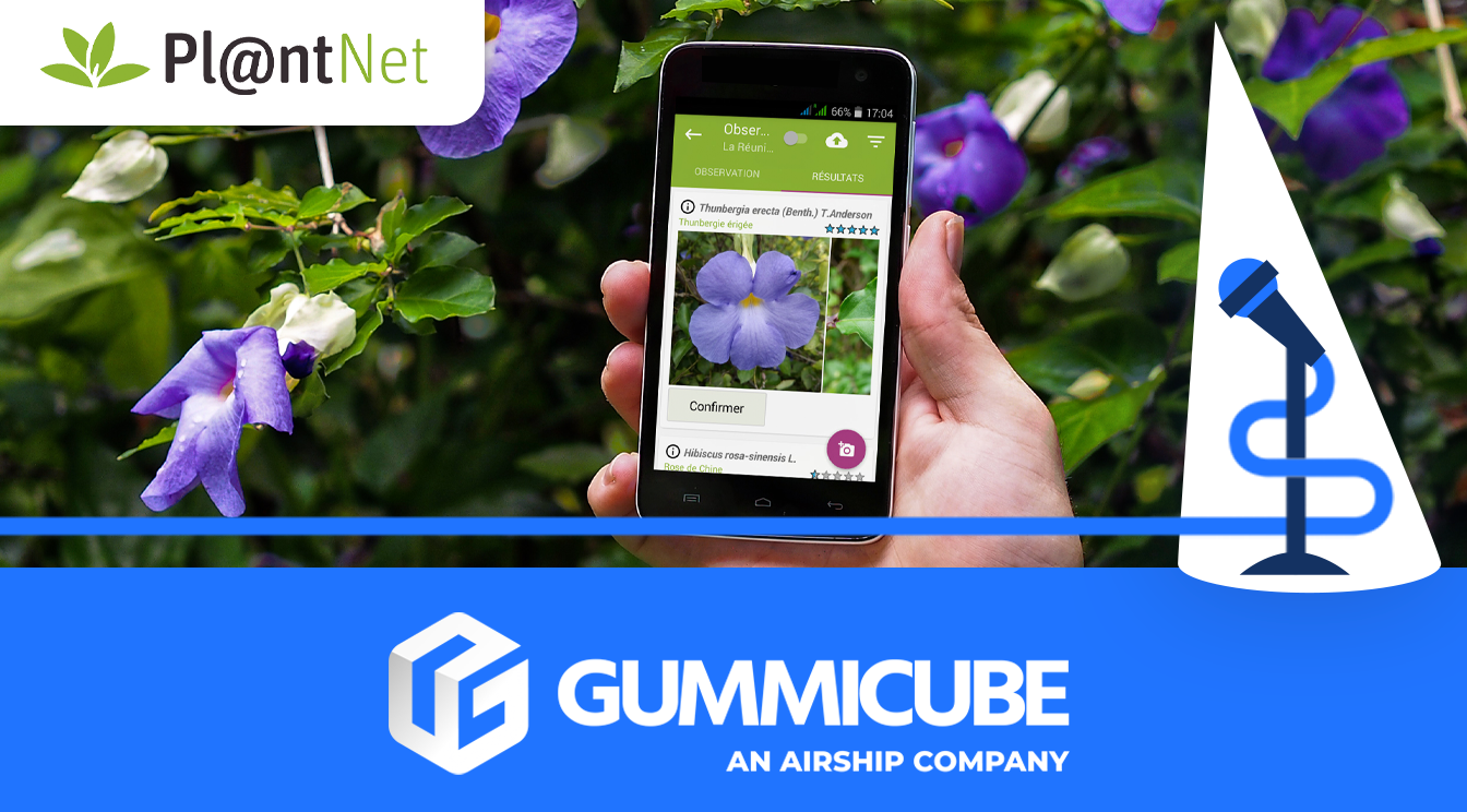 Rooting for Success: An App Store Deep-Dive into PlantNet