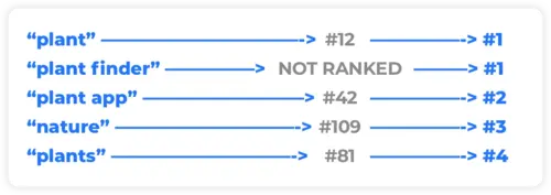 plantsnap deployment
